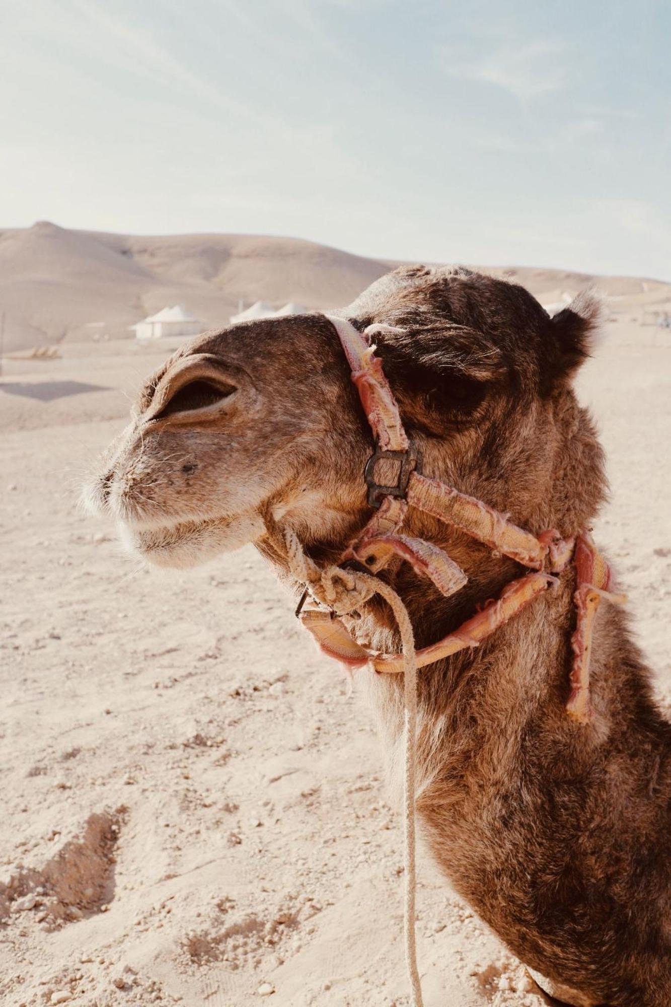 فندق Ngayan Camp Taïzelt المظهر الخارجي الصورة