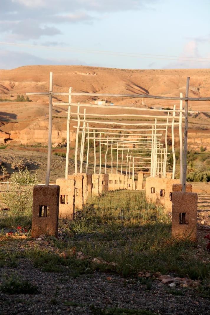 فندق Ngayan Camp Taïzelt المظهر الخارجي الصورة