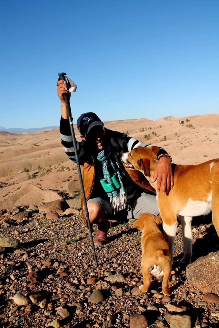 فندق Ngayan Camp Taïzelt المظهر الخارجي الصورة