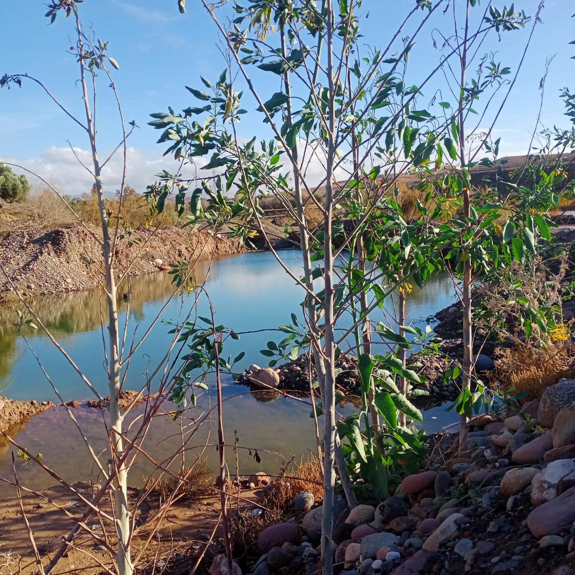 فندق Ngayan Camp Taïzelt المظهر الخارجي الصورة