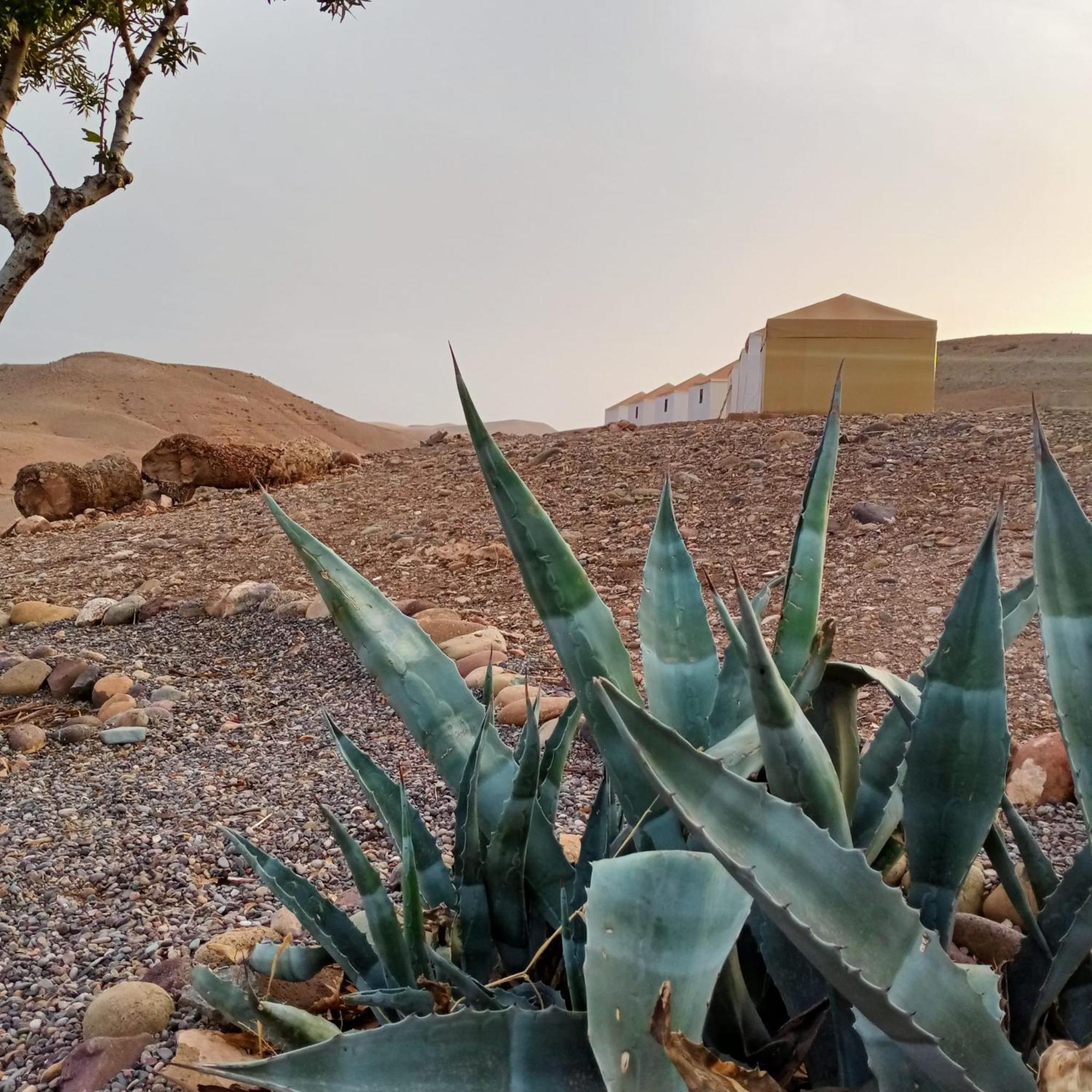 فندق Ngayan Camp Taïzelt المظهر الخارجي الصورة